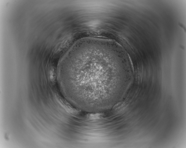 X0000099530134200805301448