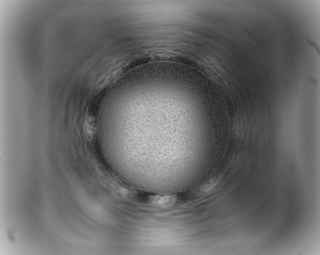 X0000099530135200805301448