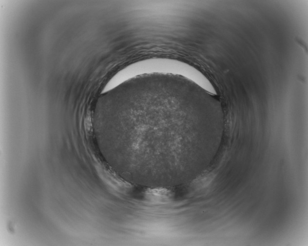 X0000099530137200805301448