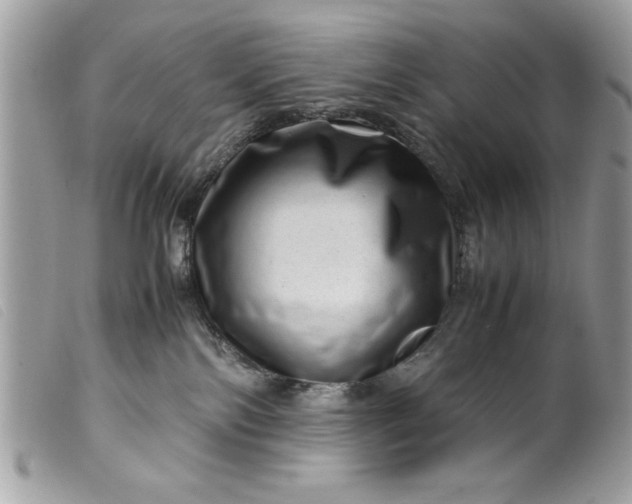 X0000099530138200805301448