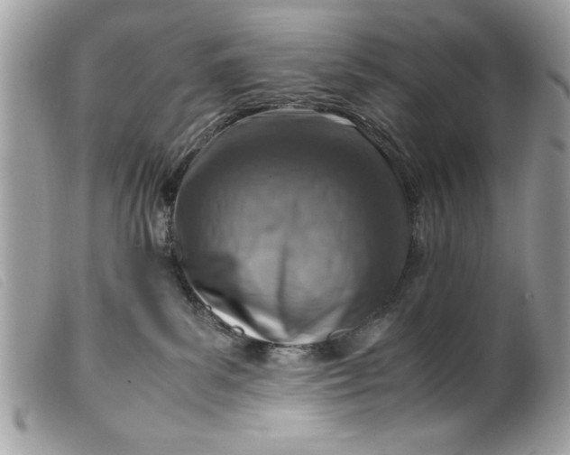 X0000099530139200805301448