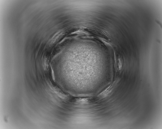 X0000099530140200805301448