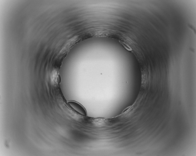 X0000099530142200805301448