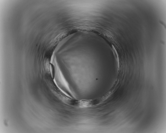 X0000099530143200805301447