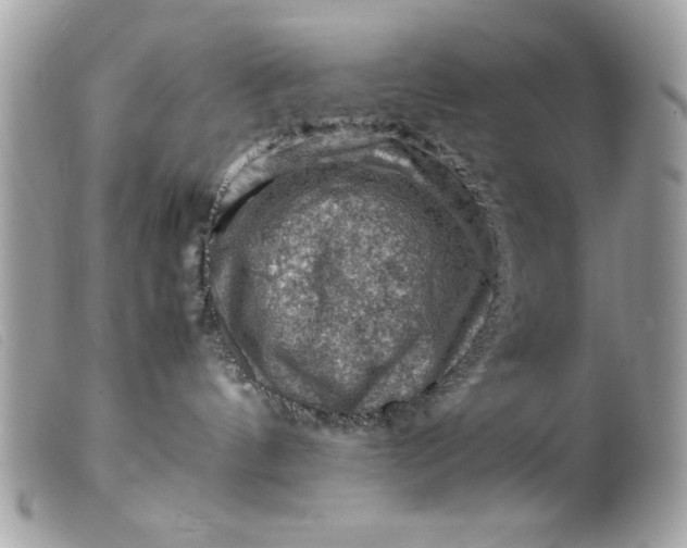 X0000099530144200805301447