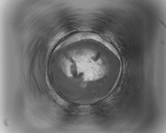 X0000099530145200805301447