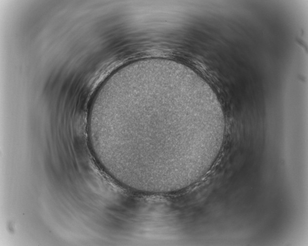 X0000099530146200805301447