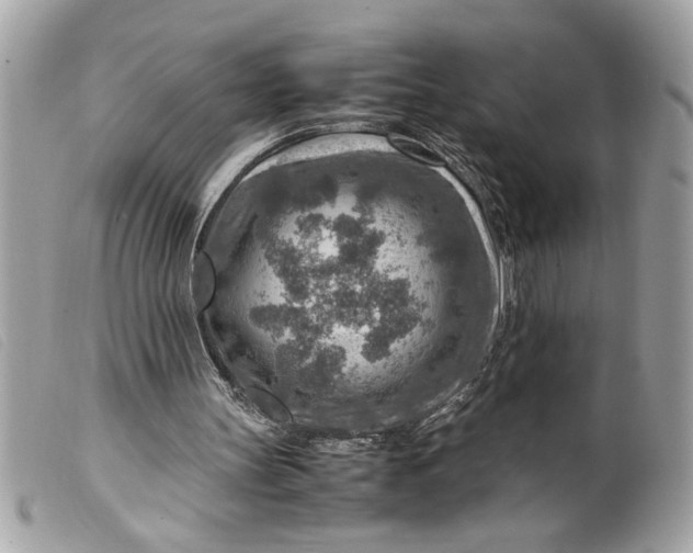 X0000099530147200805301447