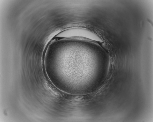 X0000099530148200805301447