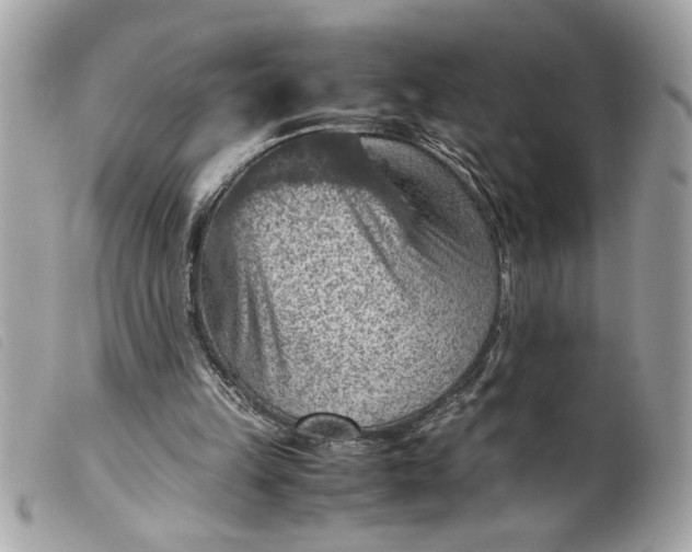 X0000099530149200805301447