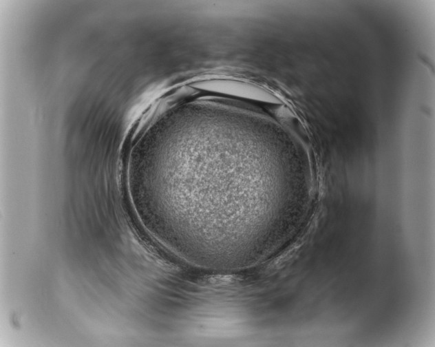 X0000099530152200805301447