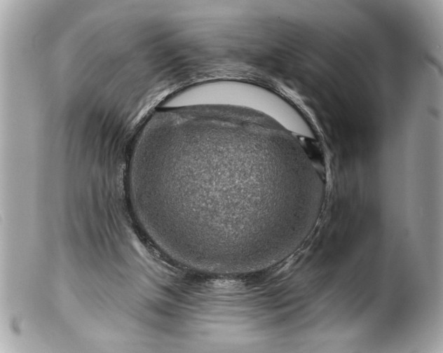 X0000099530154200805301447