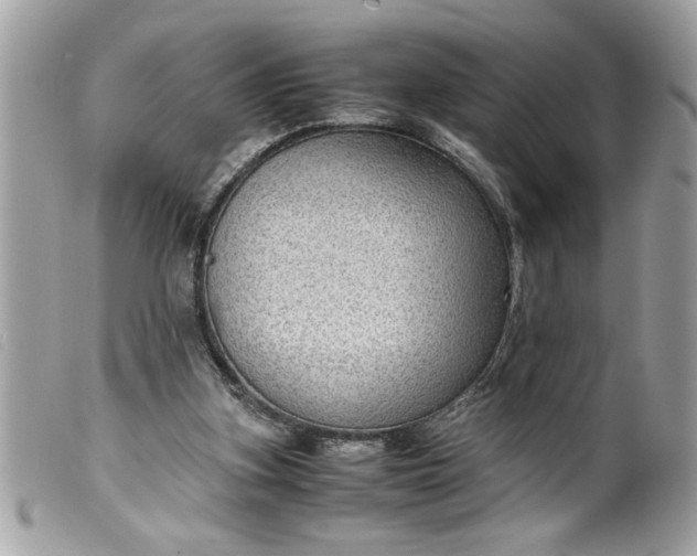 X0000099530155200805301447