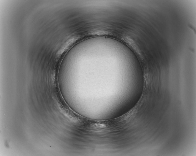 X0000099530159200805301447