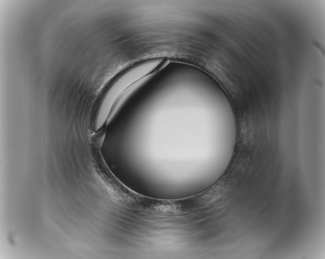 X0000099530160200805301447