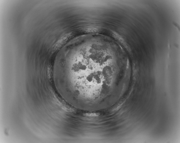 X0000099530161200805301447