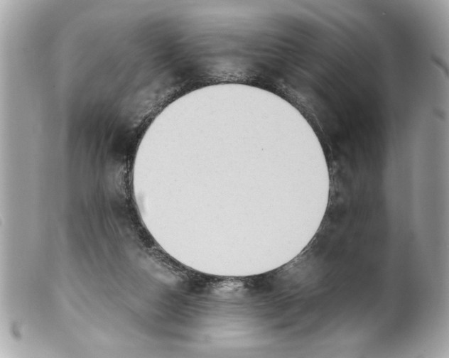 X0000099530162200805301447