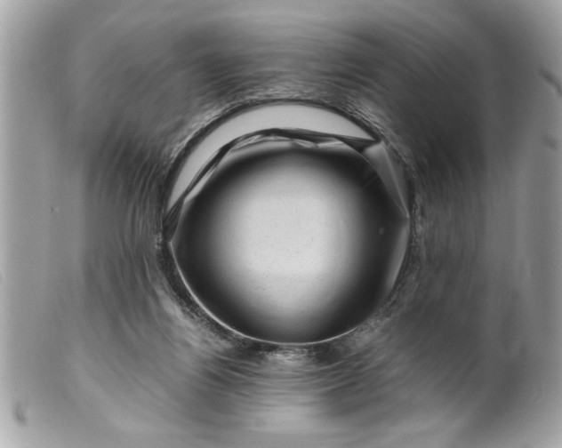 X0000099530164200805301447