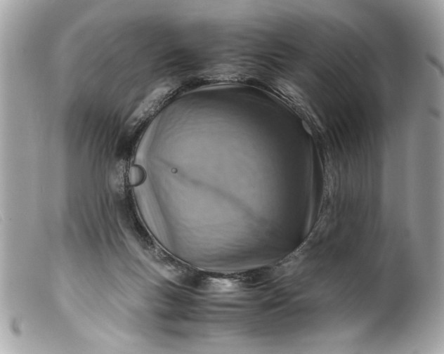 X0000099530167200805301447