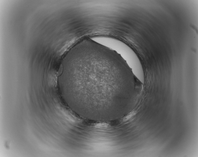 X0000099530168200805301447