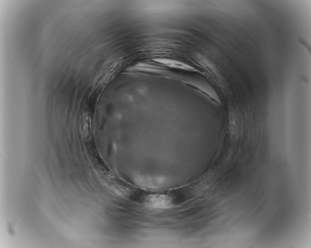 X0000099530169200805301447