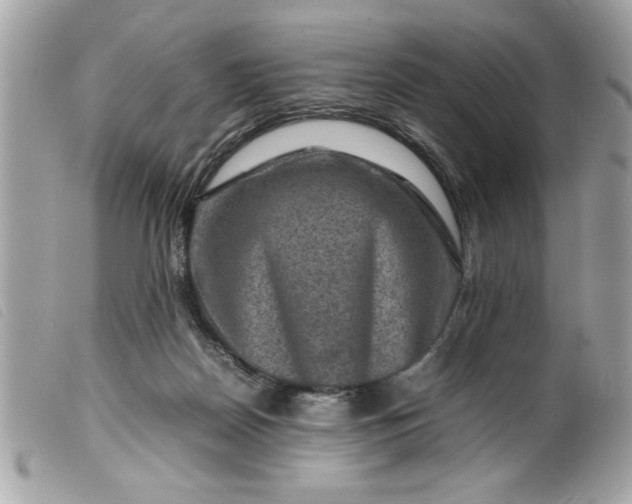 X0000099530170200805301447