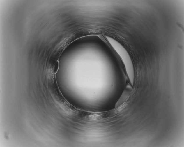 X0000099530172200805301447