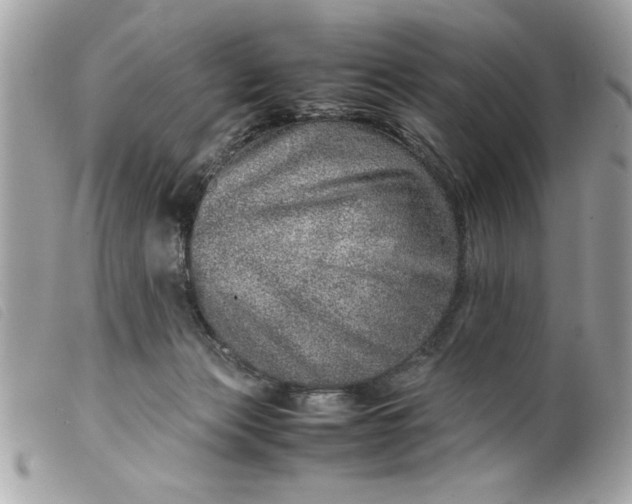 X0000099530173200805301447