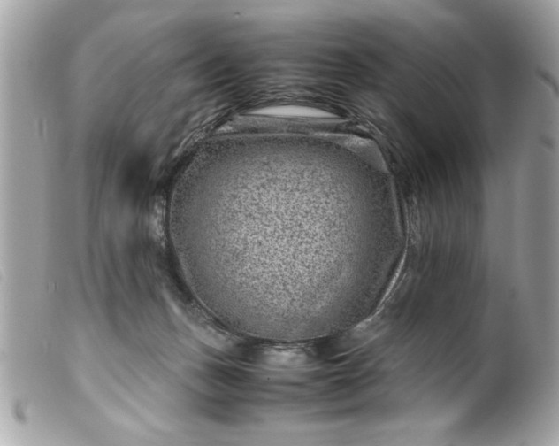 X0000099530175200805301447