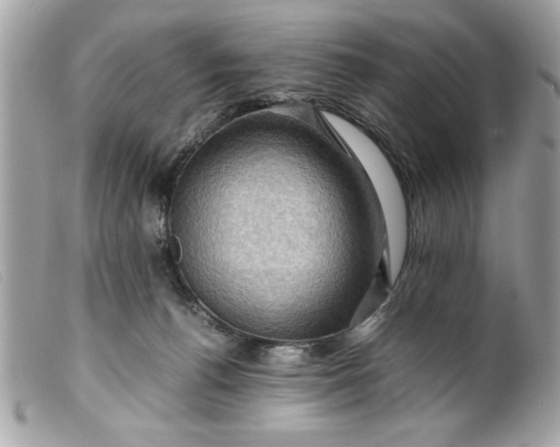 X0000099530176200805301447