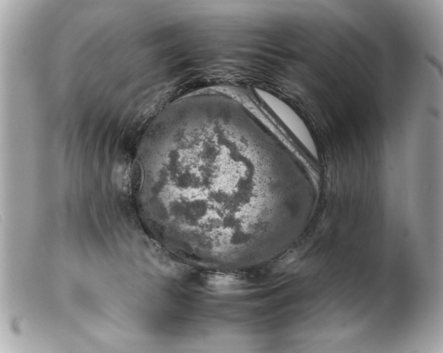 X0000099530177200805301447