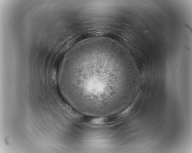 X0000099530178200805301447