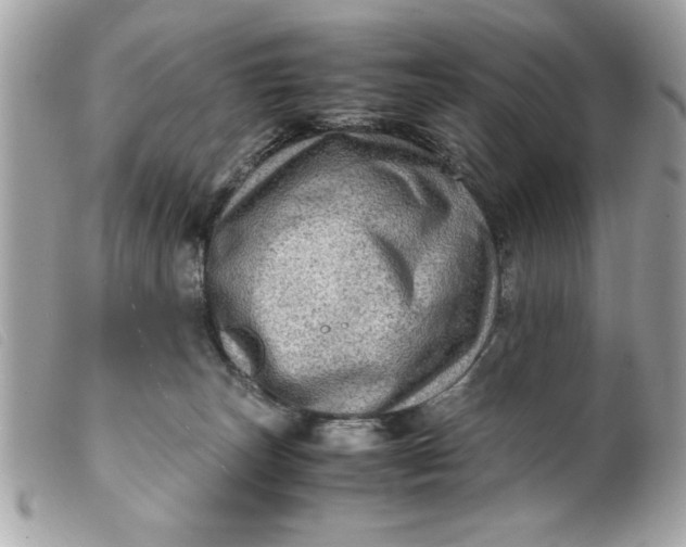 X0000099530179200805301447