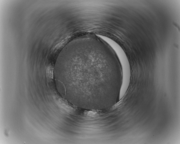 X0000099530180200805301447