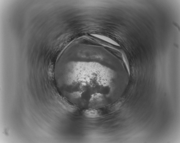 X0000099530181200805301447