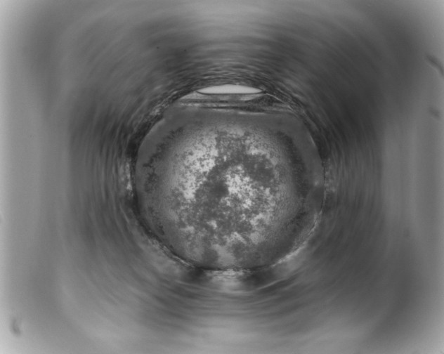 X0000099530182200805301447