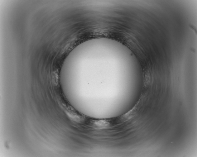 X0000099530183200805301447