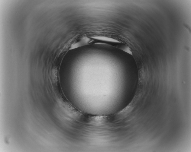 X0000099530184200805301447