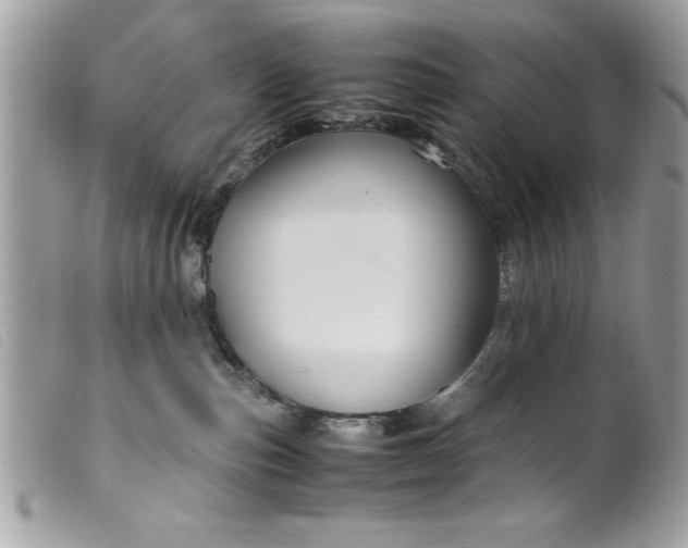 X0000099530187200805301447