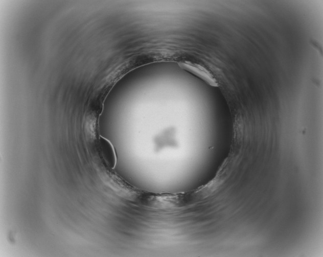 X0000099530188200805301447