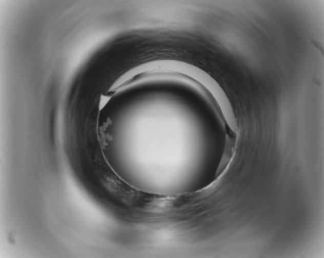 X0000099530190200805301447