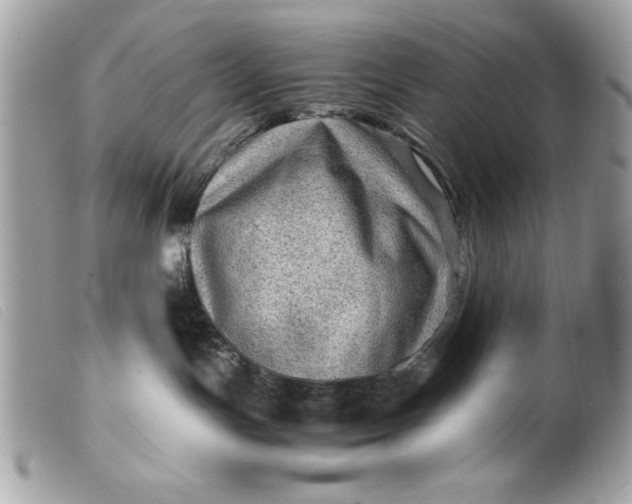 X0000099530191200805301447