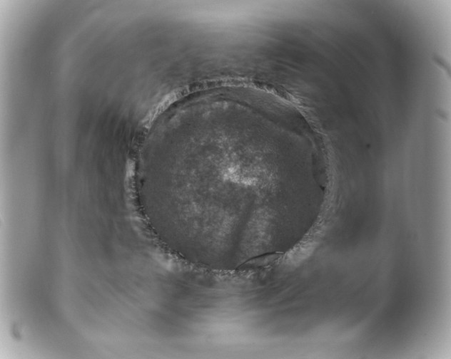 X0000099530192200805301447