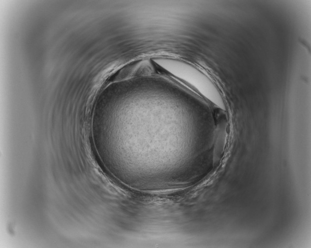 X0000099530193200805301447