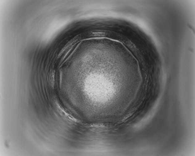 X0000099530194200805301447