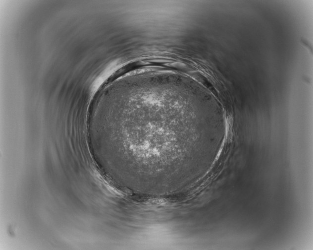 X0000099530195200805301447