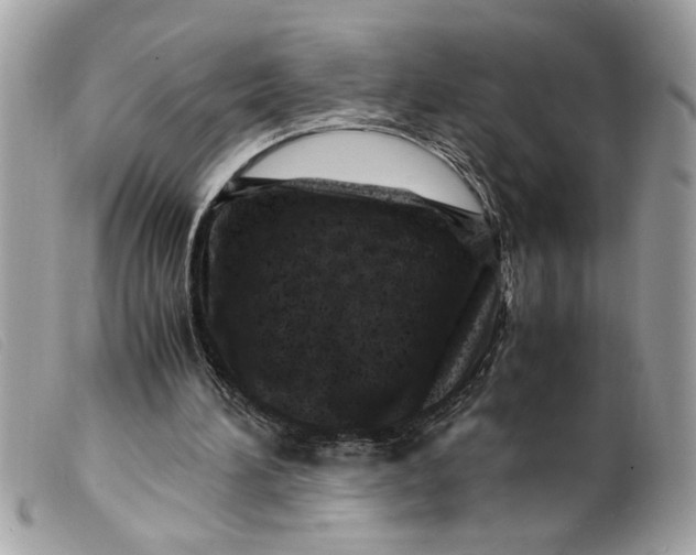 X0000099530196200805301447