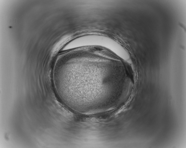 X0000099530197200805301447