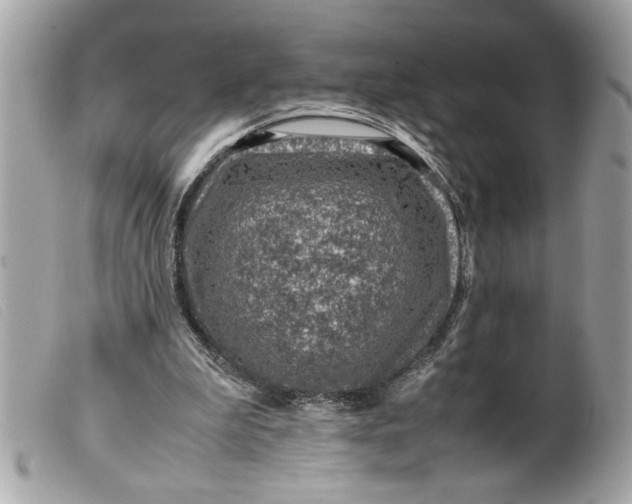 X0000099530199200805301447