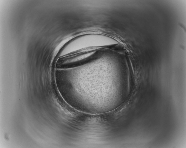 X0000099530200200805301447